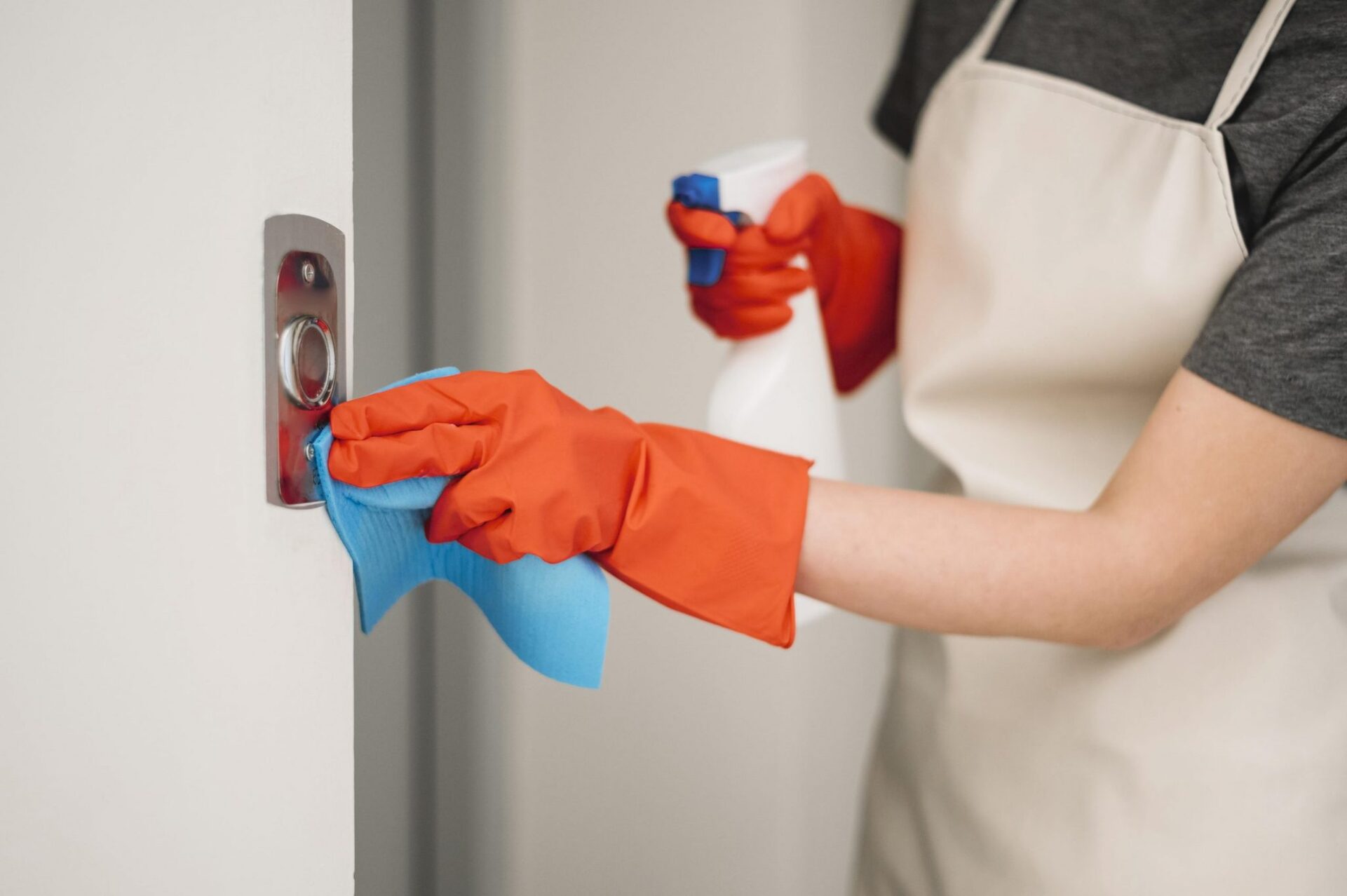 3769041-scaled-1-2048x1362