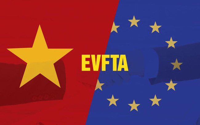 Vai trò của DAG thúc đẩy cam kết về lao động trong EVFTA 3